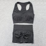 2PCS Seamless Yoga Set - Manufacturer - Sports Bra High Waist Shorts Fitness Gym Clothes Outfits