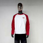 Men's Long Sleeve T-Shirt - Manufacturer - TS2595 100% Cotton Raglan Crew Neck Custom Logo