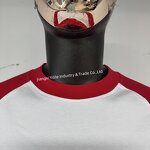 Men's Long Sleeve T-Shirt - Manufacturer - TS2595 100% Cotton Raglan Crew Neck Custom Logo