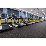 Gym Rubber Flooring - Manufacturer - 3-12mm Indoor EPDM Roll Fitness Floor Mat