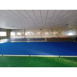 MMA Rollout Mat - Manufacturer - Blue 4cm Thickness Wrestling Fighting Gym Mat