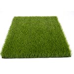 Artificial Grass - Manufacturer - Black Decorative Interior Walls Rooftop Gardens