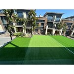 Artificial Grass - Manufacturer - Black Carpet Roll Outdoor Landscape Lawn