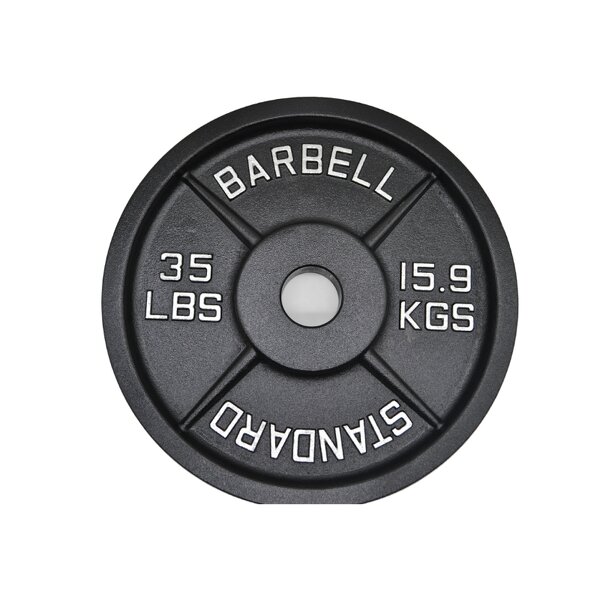 Weight Plates - Manufacturer - Cast Iron 5KG Bumper 20KG Free Weights Fitness