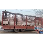 Adjustable Dumbbell Set - Manufacturer - Home Fitness 40kg with Stand 20kg Pair