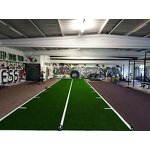 Artificial Grass - Manufacturer - Customizable Factory Indoor Gym PU Foamed Turf