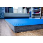 MMA Rollout Mat - Manufacturer - Blue 4cm Thickness Wrestling Fighting Gym Mat