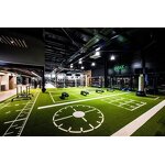 Artificial Grass - Manufacturer - Customizable Factory Indoor Gym PU Foamed Turf