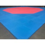 EVA Foam Mat - Manufacturer - 2-4Cm Interlocking Taekwondo Karate Judo Martial