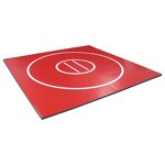 MMA Rollout Mat - Manufacturer - 4cm White Durable Wrestling Fighting Gym Training