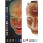 便携式皮肤分析仪生产商-OEM Bloom Visage面部扫描仪