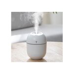 USB Humidifier - Manufacturer - MINI 200ml T Egg for Office Desk Use
