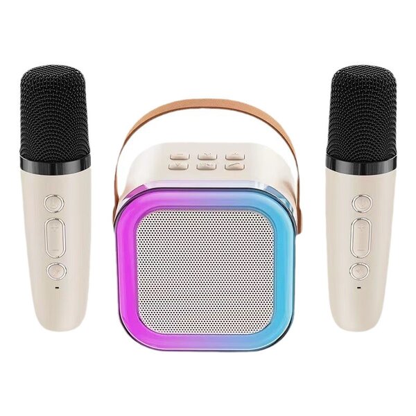Karaoke Speaker Manufacturer - K12 Wireless with 2 Microphones Portable BT with TF Card