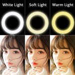 Ring Light Manufacturer - 10 Inch LED Selfie Warm Cold Light for Makeup