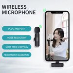 Wireless Microphone Manufacturer - Universal Interview Teaching Wearable Headset 2.4G