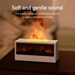 Portable Flame Diffuser - Manufacturer - Colorful Bonfire Fireplace Aroma Remote Home