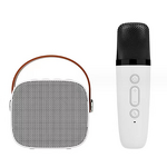 Karaoke Speaker Manufacturer - Professional 3W RGB Color Light with Wireless Microphones for Outdoor