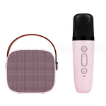 Karaoke Speaker Manufacturer - Professional 3W RGB Color Light with Wireless Microphones for Outdoor