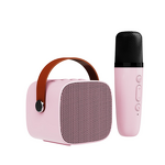 Karaoke Speaker Manufacturer - Professional 3W RGB Color Light with Wireless Microphones for Outdoor