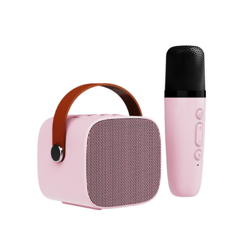 Karaoke Speaker Manufacturer - Professional 3W RGB Color Light with Wireless Microphones for Outdoor