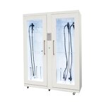 Endoscope Sterilizer - Manufacturer - Hospital UV Drying Storage Rigid/Fiber