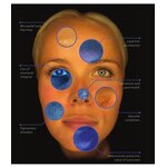 EMS Body Sculpting - Manufacturer - Portable Muscle Stimulant Machine