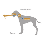 OAE Detector - Manufacturer - MSLHS01 Touch Screen Otoacoustic Emission