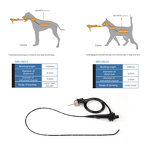OAE Detector - Manufacturer - MSLHS01 Touch Screen Otoacoustic Emission