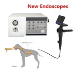 OAE Detector - Manufacturer - MSLHS01 Touch Screen Otoacoustic Emission