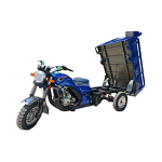 Truck Manufacturer - Open Deep Van Three-Wheel Petrol Tricycle