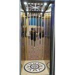 Home Elevator Manufacturer - 2-3 Floor 9m Indoor Hydraulic Mini Residential Lift