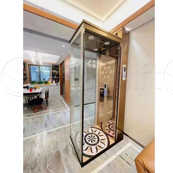 Home Elevator Manufacturer - 2 Floor Electric Indoor Outdoor Cheap Residential Lift