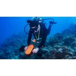 Sea Scooter Manufacturer - Sinodiving 350W 30m Deep Underwater Motorcycle Sea Scooter