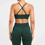 Sports Bra Manufacturer - Women Custom Logo Deep V Seamless with Adjusted Straps