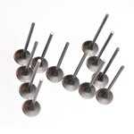 Motorcycle Valve Manufacturer - 250CC FZR250RR Exhaust Valve for Yamaha 3LN