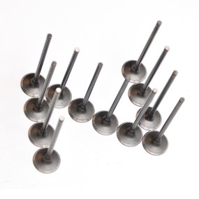 Motorcycle Valve Manufacturer - 250CC FZR250RR Exhaust Valve for Yamaha 3LN