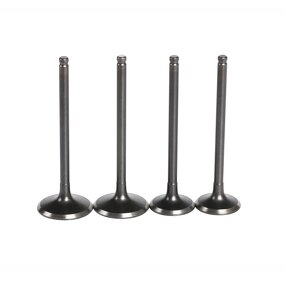 Motorcycle Valve Manufacturer - 250CC Intake Exhaust Valve for Yamaha TTR250