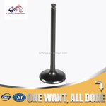Motorcycle Valve Manufacturer - 250CC Intake Exhaust Valve for Yamaha TTR250