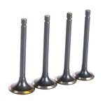 Motorcycle Valve Manufacturer - 250CC XV250 Cheaper Price Engine Valve for Yamaha