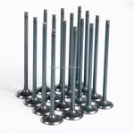 Motorcycle Valve Manufacturer - 250CC for Honda CBR250 CBR17 CBR19 CBR22 JADE