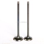 Motorcycle Valve Manufacturer - 400CC ZXR400 Inlet Exhaust for Kawasaki ZXR400