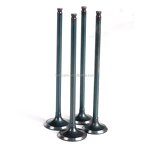 Motorcycle Valve Manufacturer - 250CC for Honda CBR250 CBR17 CBR19 CBR22 JADE