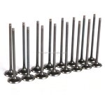 Motorcycle Valve Manufacturer - 400CC ZXR400 Inlet Exhaust for Kawasaki ZXR400