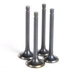 Motorcycle Valve Manufacturer - 250CC XV250 Cheaper Price Engine Valve for Yamaha