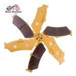 Motorcycle Brake Pad Manufacturer - FA209 for KTM Aprilia BMW Ducati 125-650CC