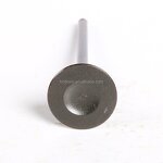 Motorcycle Valve Manufacturer - 400CC ZXR400 Inlet Exhaust for Kawasaki ZXR400