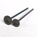 Motorcycle Valve Manufacturer - 250CC FZR250RR Exhaust Valve for Yamaha 3LN