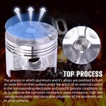 Motorcycle Piston Manufacturer - 250CC DIA49mm Pin14mm for Suzuki GSX250 GJ72A-74A