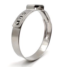 Hose Clamp Manufacturer - Competitive Price W4 Stainless Steel Single Ear