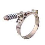 Pipe Clamp Manufacturer - Hot Sale Heavy Duty T Bolt Spring